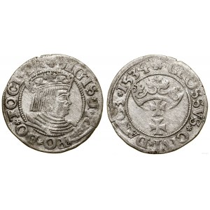 Polen, penny, 1534, Danzig