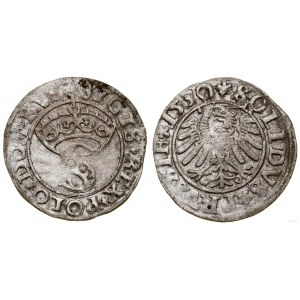 Polen, Shelby, 1530, Toruń