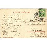 1913 Salgótarján, Karancsaljai út. Friedler Ármin 83. (W.L. ?) (EK)