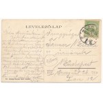 1910 Arad, Ereklyemúzeum, Fehér Kereszt szálloda, Klein Mór és Braun Gusztáv üzlete, küldönc. Kerpel Izsó kiadása ...