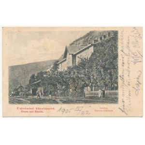 1905 Báziás, indóház, vasútállomás, vonatok / Stations Gebäude / railway station, trains (EK...