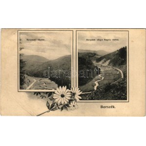 1910 Borszék, Borsec; Borpatak völgye a Bagolyvárból. Soós kiadása / Valea Borcutului / valley. Art Nouveau, floral (Rb...