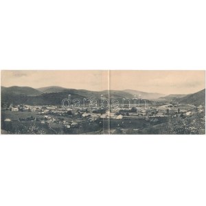 Csucsa, Ciucea; Dunky Elek műterméből, két részes kihajtható panorámalap / 2-tiled folding panoramacard (fa...