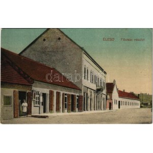 Élesd, Alesd; Fő utca, Lederer József üzlete / main street, shop (EK)