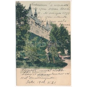 1906 Segesvár, Schässburg, Sighisoara; megyeház. Fritz Teutsch 718. / county hall (Rb)