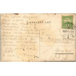 1910 Modor, Modra; A leánynevelő intézeti kertnek a Kis-Alföldre nyíló alsó útja, kutya / garden of the girl school...