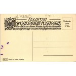 Tarújfalu, Novoselytsya, Noua Sulita; Pflügende ruthenische Bauern. Phot. Hauptmann Banka - Feldpost Wohlfahrts...
