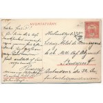 1908 Újvidék, Novi Sad; Futtaki utca, Otthon Kávéház, Heksch Nővérek és Anton Kiss üzlete...