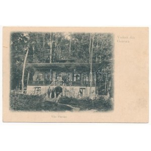 Baile Govora, Vila Florian / villa