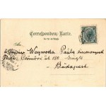 1904 Rogaska Slatina, Rohitsch-Sauerbrunn; Curplatz / spa park. Ottmar Zieher Art Nouveau, floral...