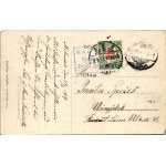 1917 Császári és Királyi Haditengerészet Dunaflottilla monitorja Szávaszentdemeternél / K.u.k...