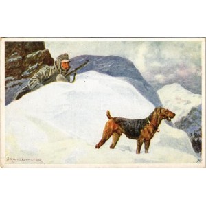 K.F.A. Sanitätshunde, Auslug. Zu Gunsten des K.u.k. Kriegsfürsorgeamtes s: E. Ranzenhofer