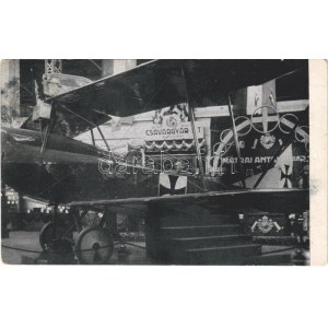 1917 Budapesti Hadirepülőgép Kiállítás. Lloyd repülőgép / WWI Austro-Hungarian K.u.K...