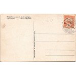 1917 Budapesti Hadirepülőgép Kiállítás. Lloyd repülőgép / WWI Austro-Hungarian K.u.K...