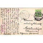 1911 Hunter dog with rifle and bullets. T.S.N. Serie 946. (6 Dess.) s: Arthur Thiele (EK)