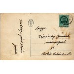 Boldog új évet! Malacok / New Year greeting, pigs. M.B.N. litho (EB)