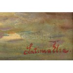 Latinka Elza (1895-1947), Nagybányán is tanult: Erdei fények. Olaj, vászon, jelezve jobbra lent...