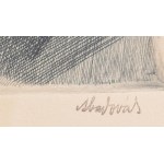 Aba-Novák Vilmos (1894-1941): Harsányi Kálmán író portréja. Rézkarc, papír, jelzett, keretben, 25x20 cm ...