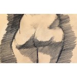 Járitz Józsa (1893-1986): Női hátakt. Ceruza, papír, jelzett. 34x20 cm. Üvegezett fakeretben. / pencil on paper, signed...