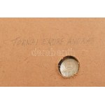 Tornay Endre András (1949-2008): Lelet. Kő és gipsz, keretben, Jelzett 29x29 cm