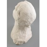 Shey jelzéssel: Női büszt. Faragott márvány, korának megfelelő állapotban, m: 34 cm