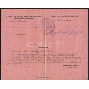 1918 Pécs, Utalvány egy pár kész, uj vagy ócska lábbeli vásárlására, 1918. XI. 4.