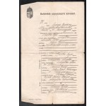 cca 1880-1920 dr. Nyírő Gyula (1895-1966) orvos, elme-ideggyógyász, egyetemi tanár...
