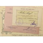 1896 Milleniumi kiállítással kapcsolatos gyűjtemény. Benne: 1896 Ezredéves Országos Kiállítás fényképes bérletjegye...