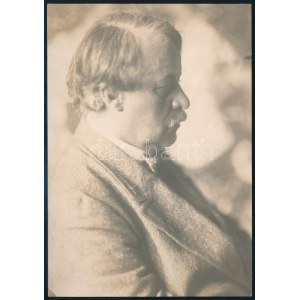 Rippl-Rónai József (1861-1927) festő profilképe, Rónai Dénes által készített fotó, hátoldalon feliratozva...