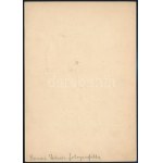 Rippl-Rónai József (1861-1927) festő profilképe, Rónai Dénes által készített fotó, hátoldalon feliratozva...