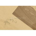 1914 gróf Üchtritz Amédé Antal és felesége báró Bánhidy Stefánia írónő Fotó mérete 17x14 cm...