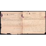 1883-84 Eötvös Károly (1842-1916) politikus, ügyvéd, író, publicista, országgyűlési képviselő...