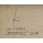 Lia Kimura, Destroyed, 2017