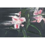 Magdalena Kazimierska, Untitled, 2017