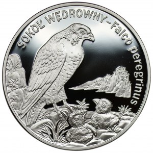20 gold 2008 - Peregrine falcon