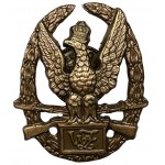 Odznaka Wzorowy Żołnierz nakrętką firmową - odznaka numerowana 10372