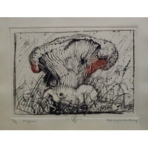 Franciszek Starowieyski, Mycelium, special edition-Dar of Nature