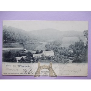 Pokrzywna k. Głuchołazy, panorama, 1902