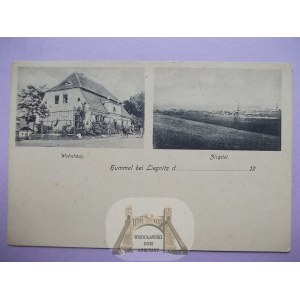 Dobrzejów u Legnice, dům, panorama, cca 1900