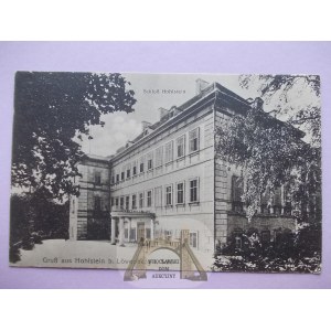 Skała near Lwówek, palace, 1908