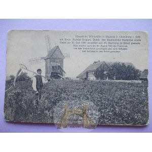 Lwówek Śląski, Płakowice, větrný mlýn, příběh o vraždě, cca 1920