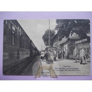 Szczaniec near Swiebodzin, railway station, train, customs control, 1924