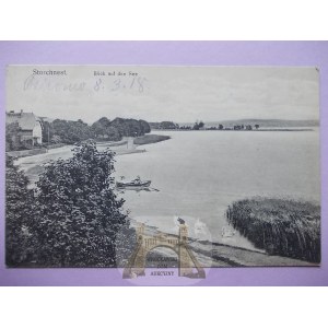 Osieczna, Storchnest k. Leszno, panorama, ok. 1910