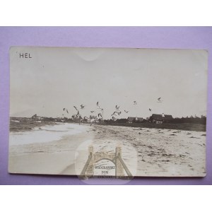Hel, Hela, wybrzeże, mewy, panorama, ok. 1935