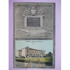 Żywiec, zamek, tablica pamiątkowa, 1909