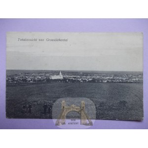 Ukraina, Wełykodołynśke Grossliebenthal k. Odessa, panorama, ok. 1915
