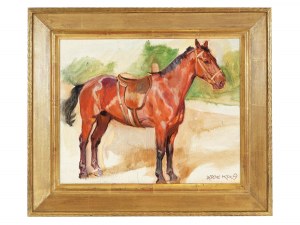 Ludwig Koch, Vienna 1866 - 1934 Vienna, Horse study