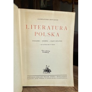 Aleksander Bruckner, Literatura Polska