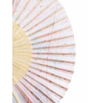 Colorful fan