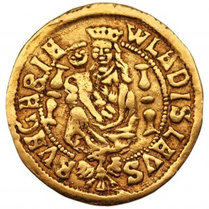 WĘGRY - Władysław II Jagiellończyk (1490-1516) - goldgulden Nagybanya
